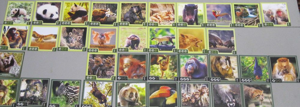 Наклейки карточки Зверокуб Варус (Varus)