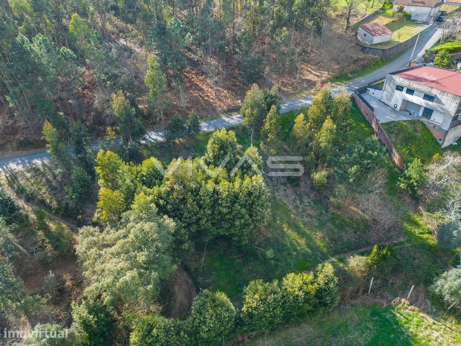 Terreno Rústico  Venda em Ribeira do Neiva,Vila Verde