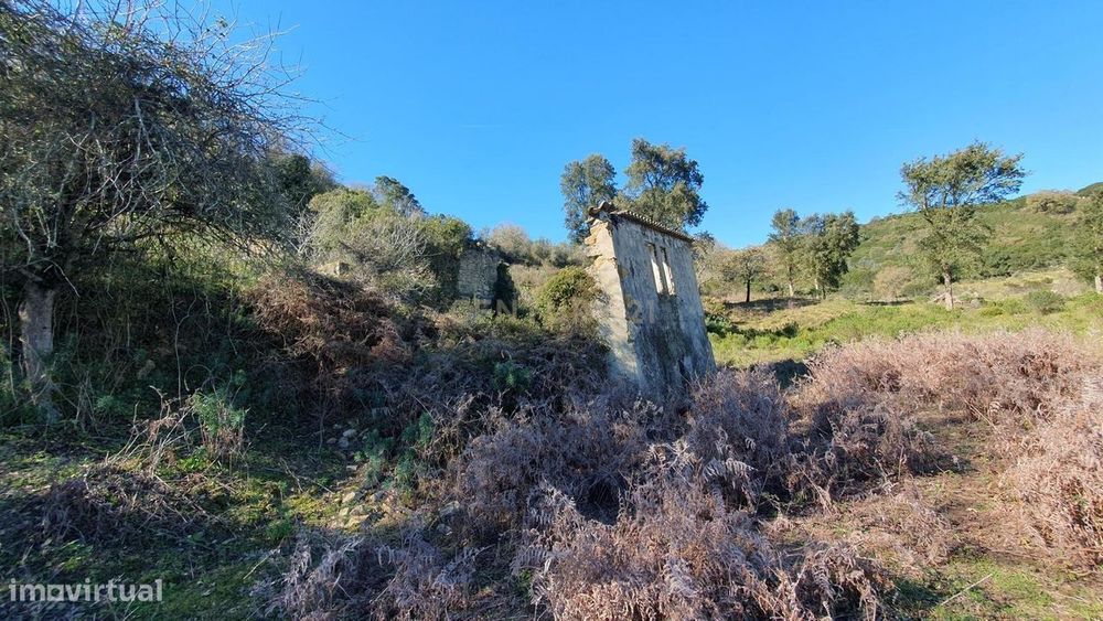 Quinta com 24.560m2 | Arruda dos Vinhos