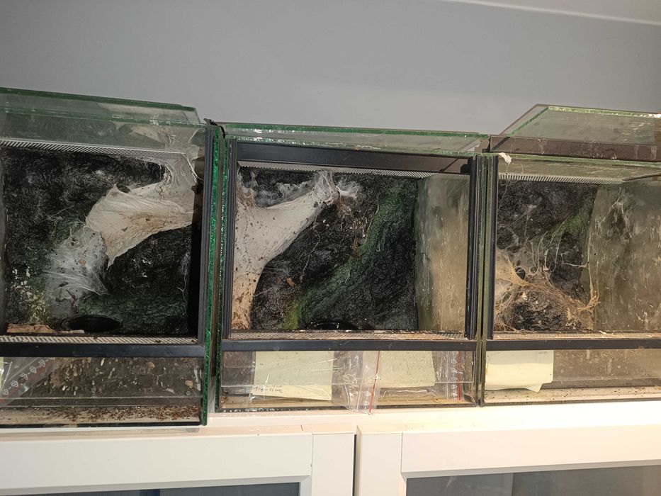 Terrarium 25x25x30