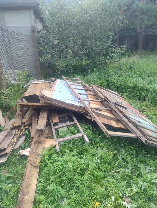 Drewno na opał za darmo pilnie