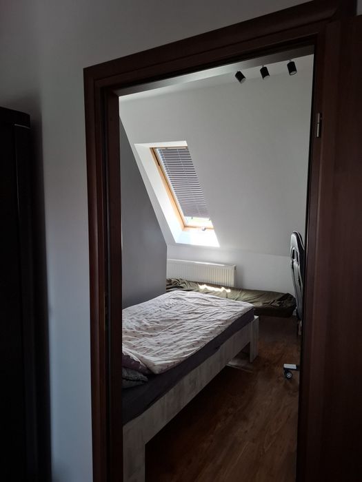 Zdjęcie 7
