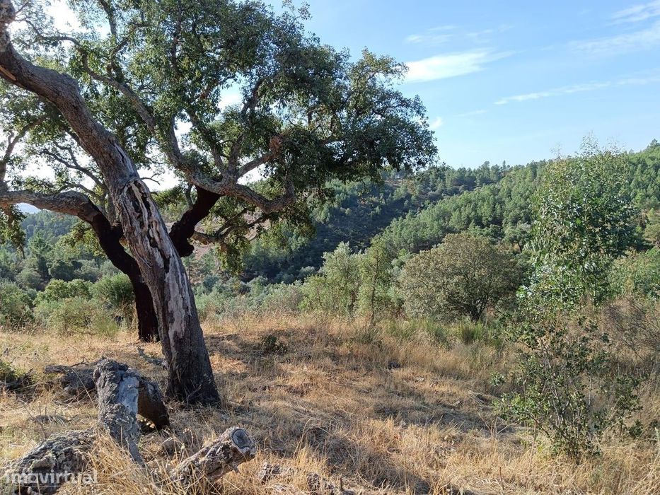Terreno