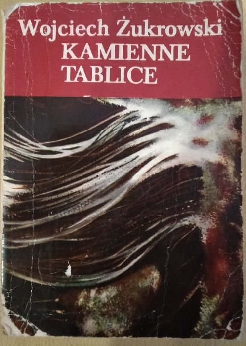 Kamienne tablice - Wojciech Żukrowski