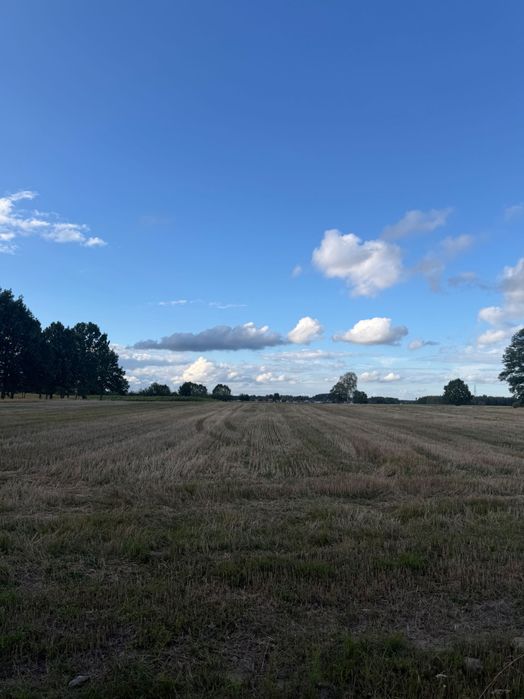 Działka rolno - budowlana - Widok 3