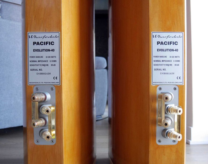 Wharfedale Pacific Evolution 40 - piękne kolumny o dostojnym brzmieniu