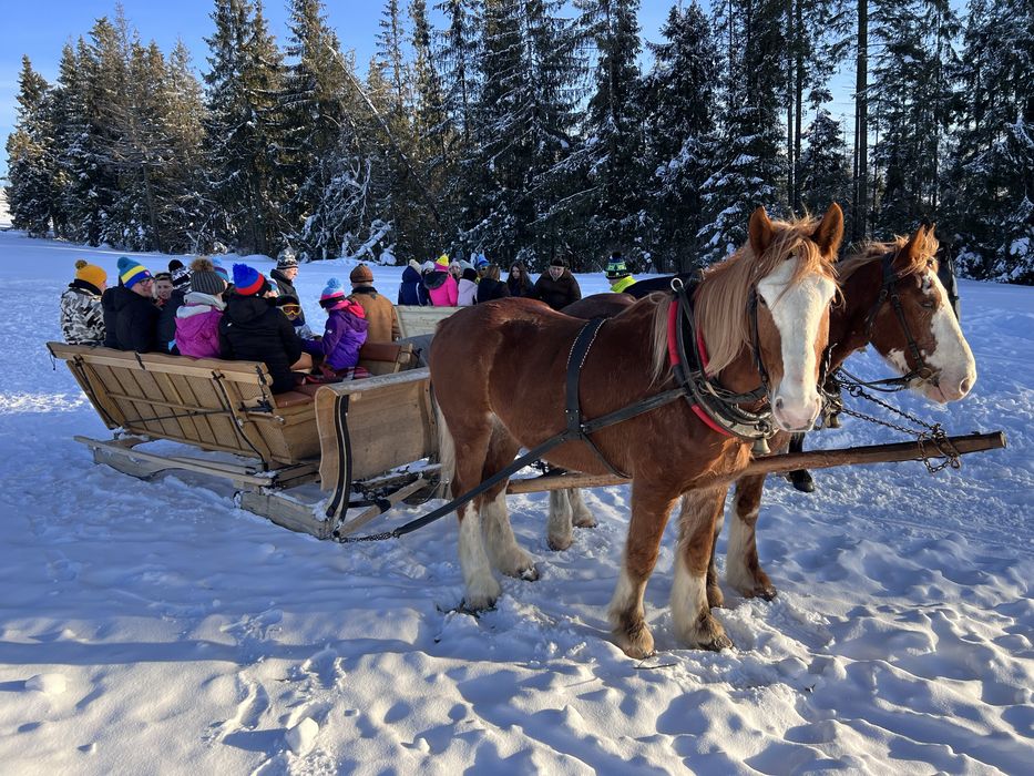 Kulig z Biesiada Góralską