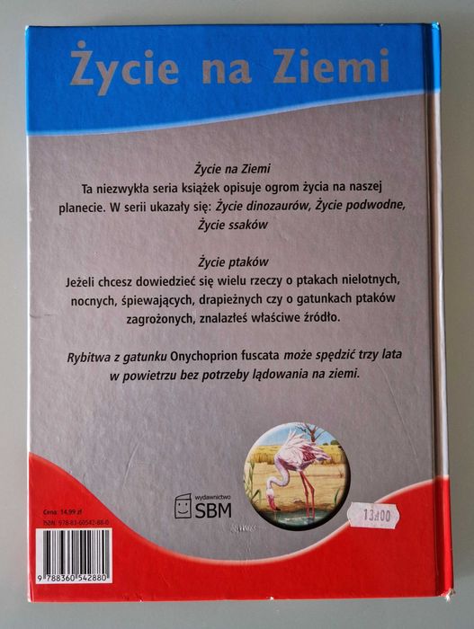 Życie na ziemi. Życie ptaków (wyd. SBM, red. Elżbieta Wójcik)