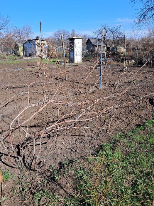 Павлоград продам дачний участок