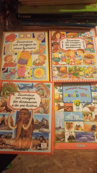 Livros infantis diversos