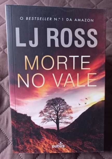 Morte no Vale - LJ Ross