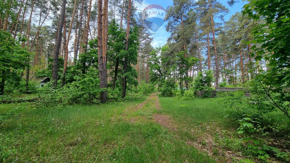 2 га | Лютіж | Асфальт | 100 кВт| Вишгородський район | під забудову