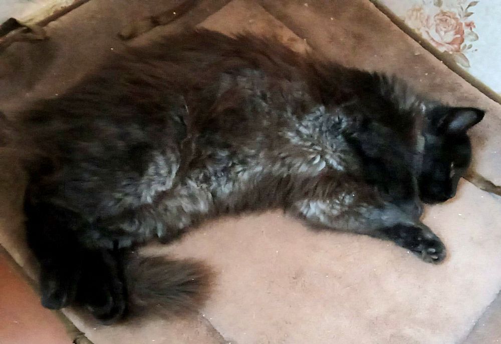 Mama z czarnym długowłosym synkiem-bardzo boją się wybuchów w Charkowi