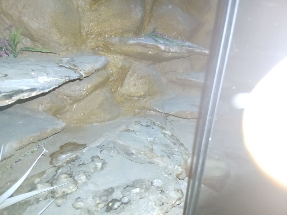 Terarium sprzedam