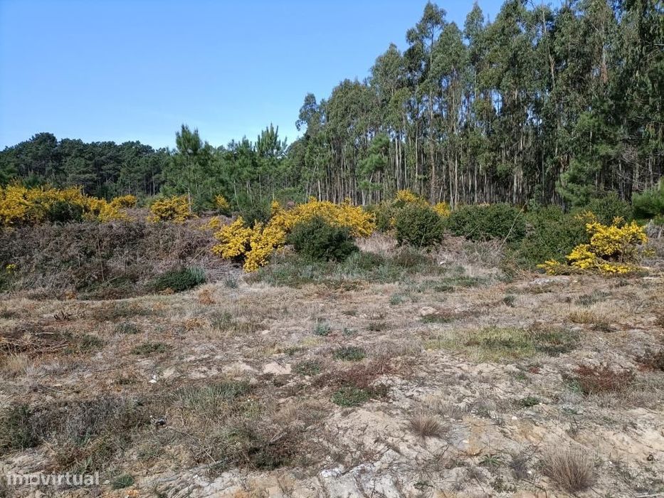 Terreno Serra do Bouro-Caldas da Rainha