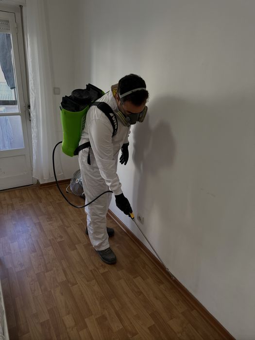 Desinfestacao PERCEVEJO BARATAS RATOS TERMITAS PULGAS