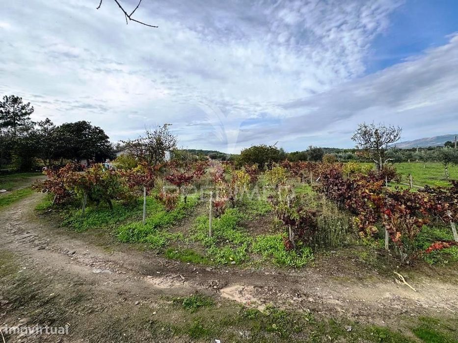 Quinta Rural T4