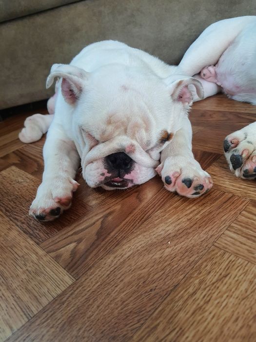 Дівчинка з інвалідністю, 11міс. Позитивна, компанійська.