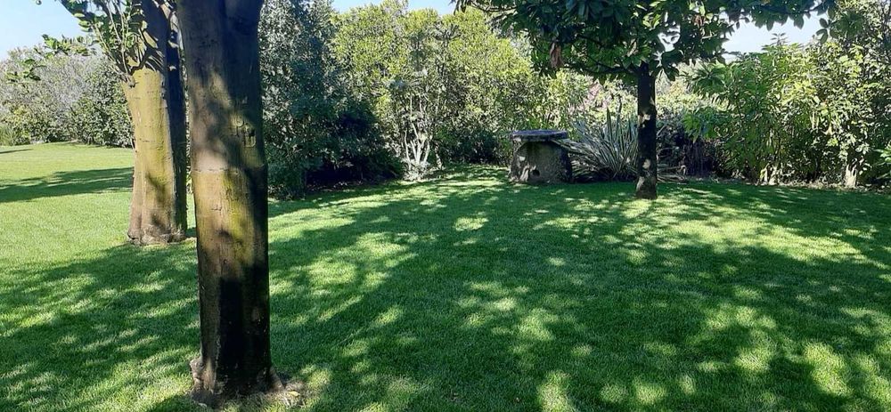 Alugo espaço para eventos - Lixa