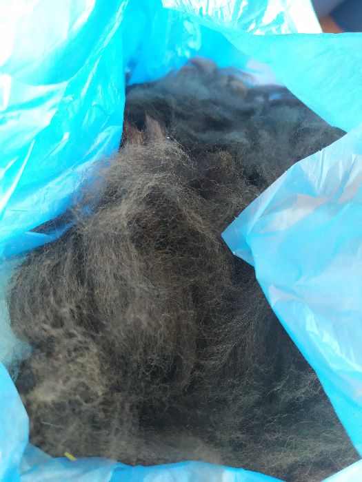 runo alpaki alpak alpaka