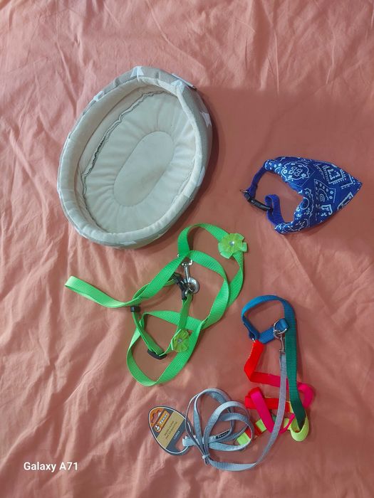 Acessórios para cães