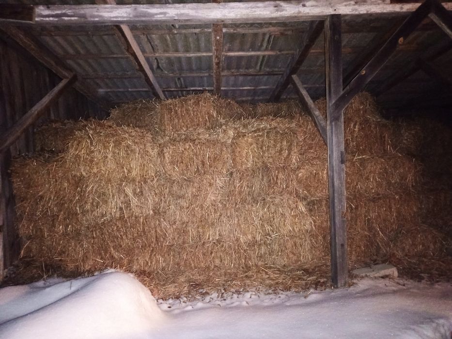 Słoma żytnia kostka