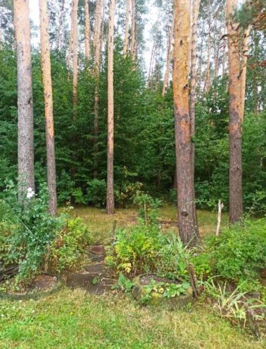 Продаж дачного будинку в Барашівському масиві