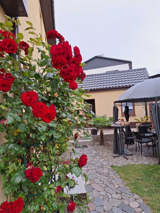Wakacje nad morzem