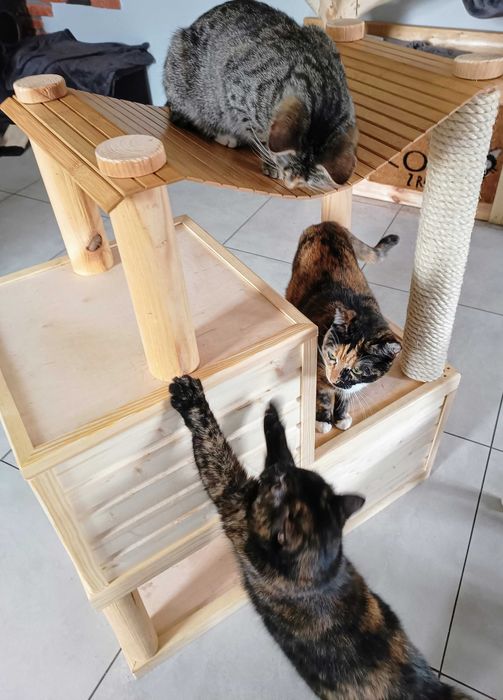 Domek-drapak dla kotów