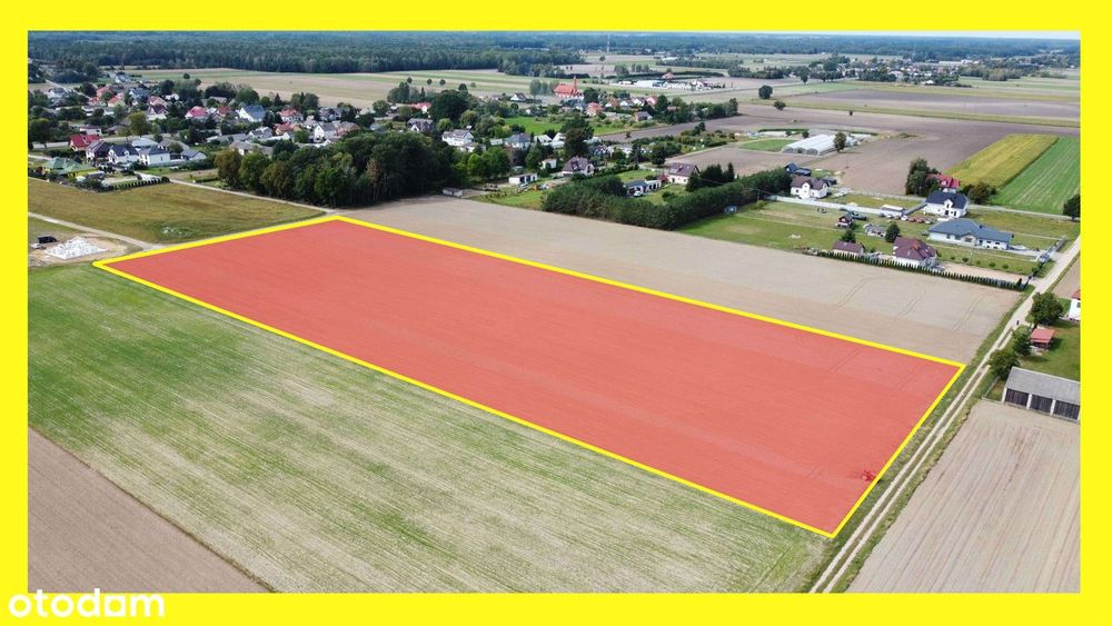 Działka 2,32 ha w Żabcach – blisko Międzyrzeca Podlaskiego