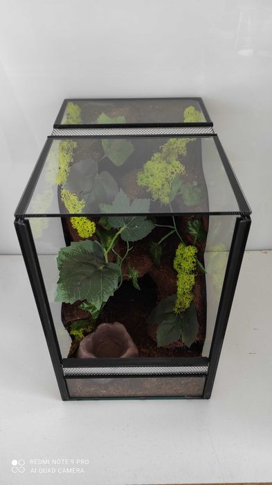 Terrarium dla ptasznika, pająka, TW23TP, AquaWaves