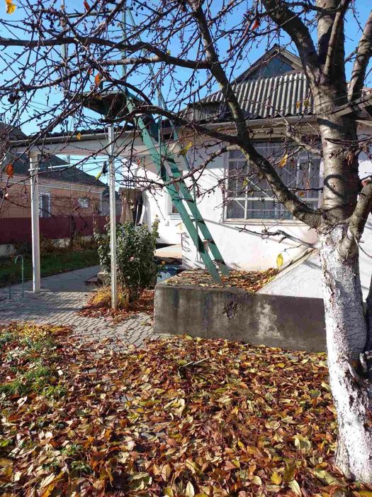 Продам будинок у селищі Томашполі