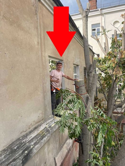 Обрезка деревьев с Бесплатным вывозом Жми , Спил деревьев  Дробление