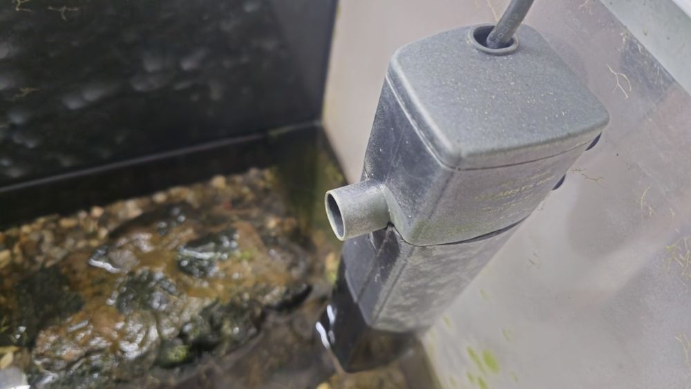 Aquario 80cm Aquatlantis