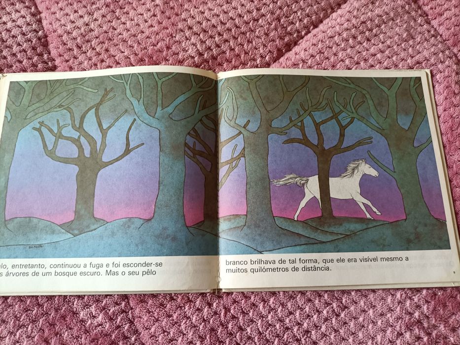 Livro O cavalo branco do ano 1982