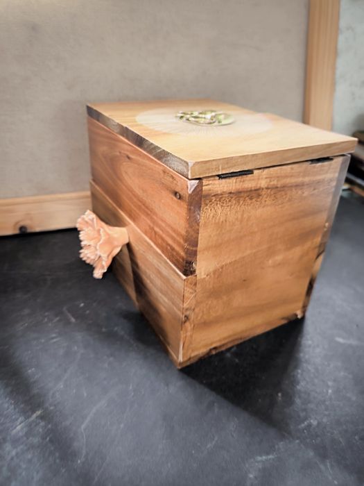 Caixa de Madeira Artesanal