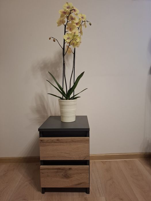 Mała szafeczka z dwoma szufladkami