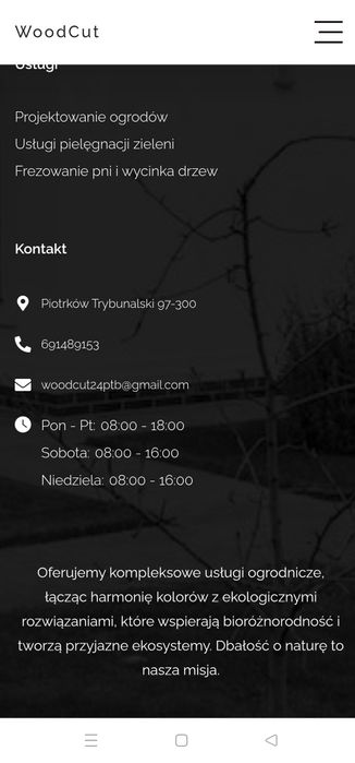 Profesjonalna Wycinka Drzew i Pielęgnacja Ogrodów – Szybko i Bezpieczn