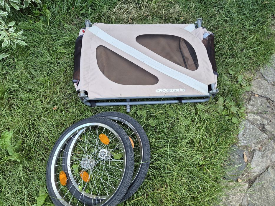 Croozer Dog przyczepa dla psa