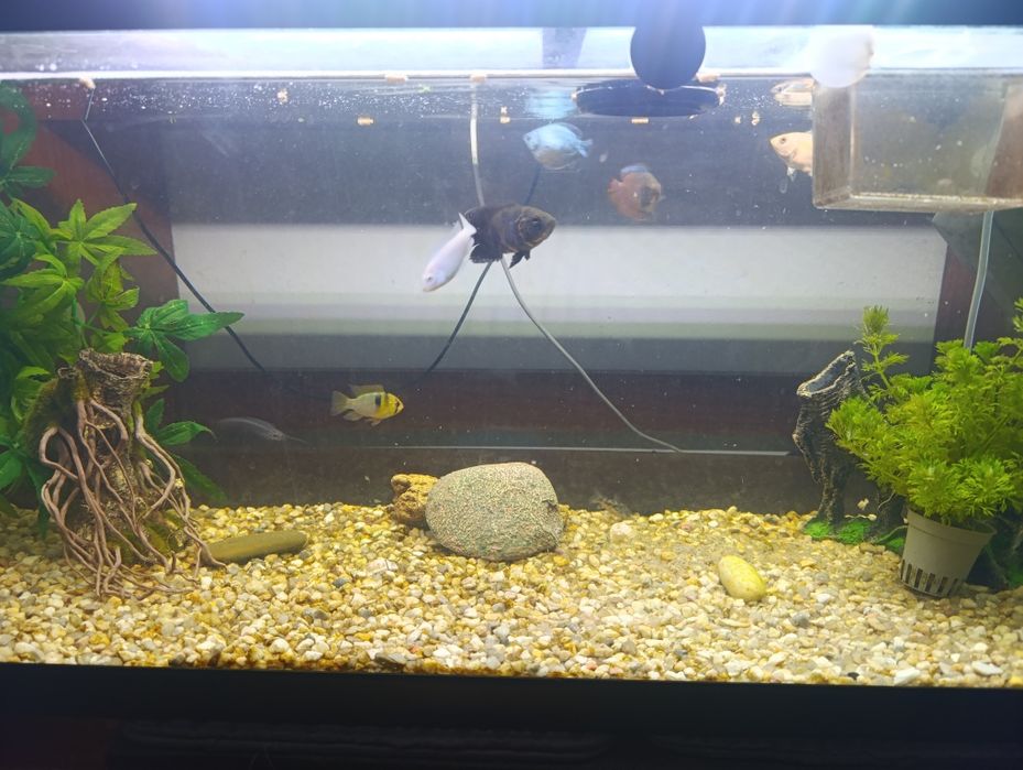 Vendo material de aquário