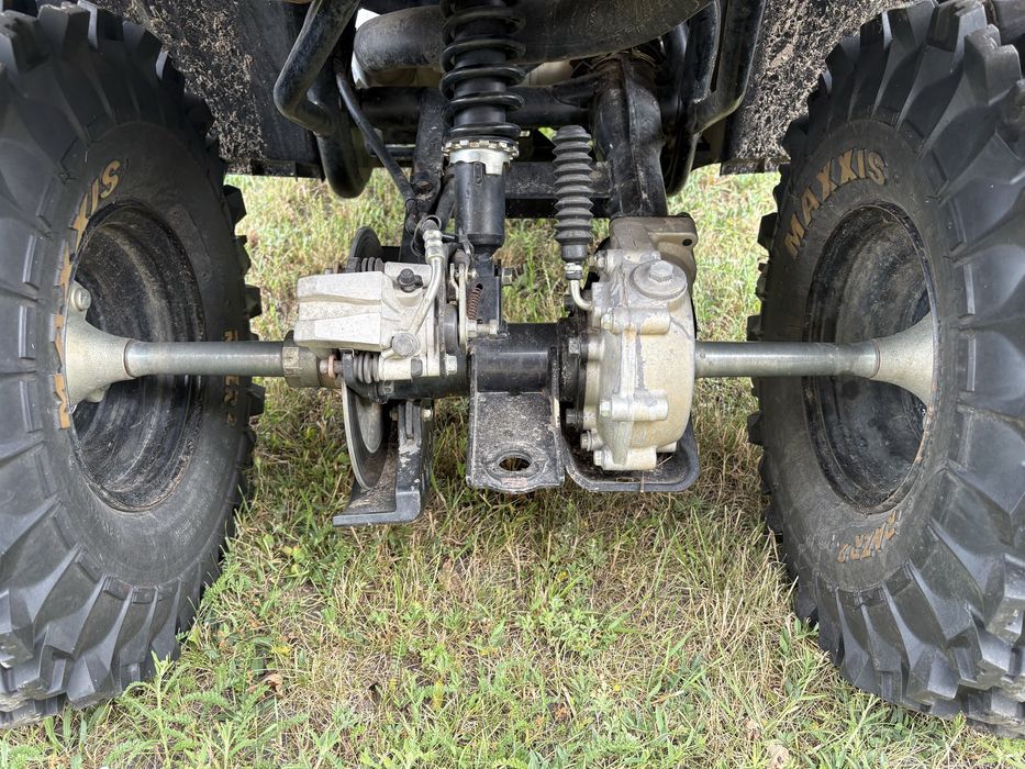 Yamaha grizzly 300