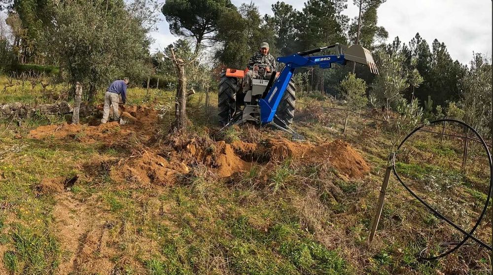 Vende‑se Quinta do Vale — 7 hectares de natureza viva