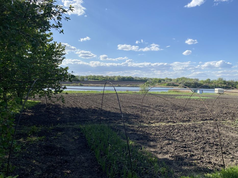 Продам дом в огороде ставок