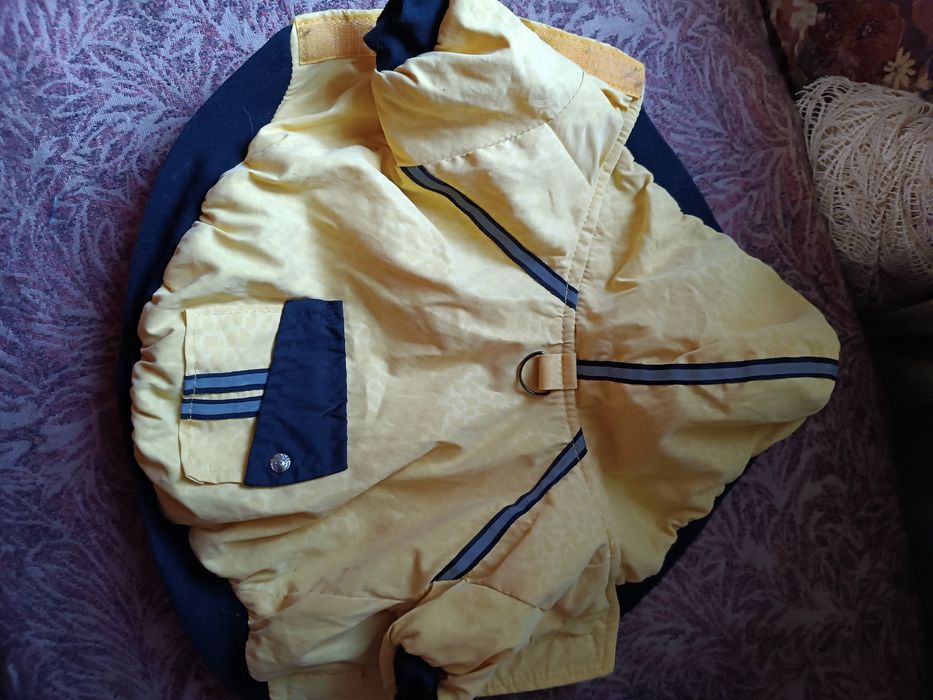 Продам одяг на маленьку собачку