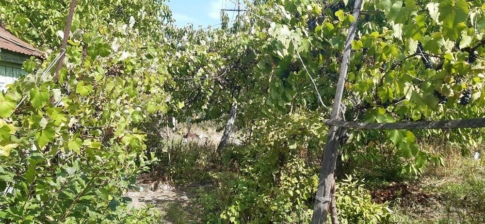 Ділянка у районі Шкільній