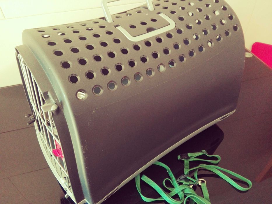 Caixa para transporte de animais + extras