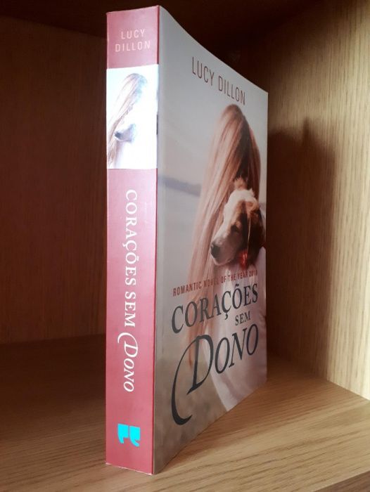 "Corações sem dono" - Lucy Dillon