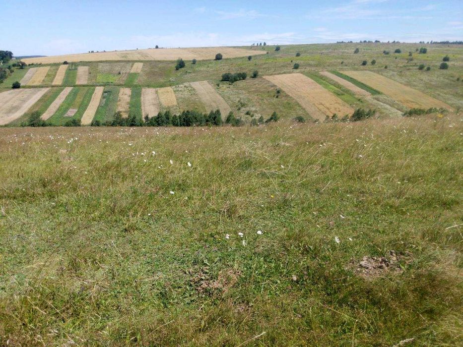 Продаж Земельної Ділянки с. Лани