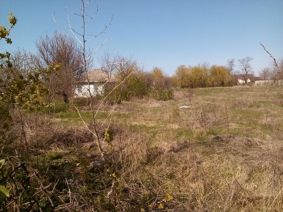 Продажа участка 53сотки