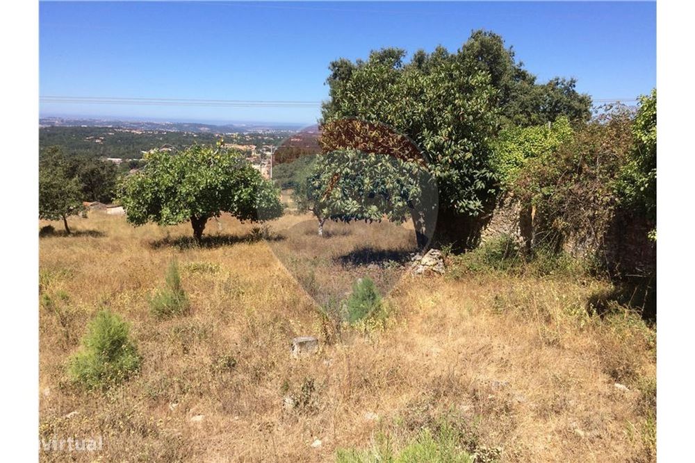 Terreno  para venda